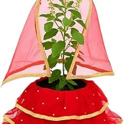 Tulsi Vivah Special Poshak Set for Tulsi MATA | Maroon Net Fabric with Golden Border & Dupatta | Decorative Dress for Tulsi Pot – Ideal for Kartik Month & Daily Puja-picture-19