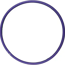 Fitfix™ Arm Hoops, Circular Rings for Exercise, Mini Sports Arm Hoop Weight Loss 2 Hula Hoops Set with Dust Resistant Cover, Arm Hoop Violet and Blue-Diameter of Both Rings is 20 inches-picture-22