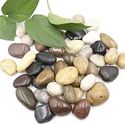 Hug A Plant 5KG Kaju Polished Mixed Pebbles for Decoration |Garden|Table|Terrariums| Home Decor|Vase Fillers-picture-13