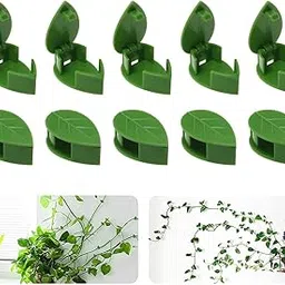PINK PARI Plant Climbing Wall Fixture Clips Wall Vine Climbing Plant Support Hook Self-Adhesive Vines Traction Clips Leaf Shape Plant Fixer, Wire Fixing Cable Organizer with Adhesive Sticker 10 Pcs, Wood;Glass;Ceramic;Metal;Stone, Green-picture-10