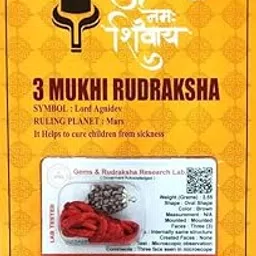 3 Mukhi Rudraksha Original Certified Bead - Natural Indian 3 Mukhi Rudraks for Meditation and Prayer, Protection, Chakra Balancing, Spiritual Growth and DIY Pooja Supplies-picture-12