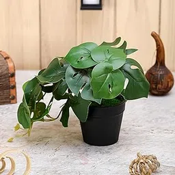 SATYAM KRAFT 1 Pcs Artificial Monstera Plant with Vase for Home Decoration | Indoor & Outdoor Décor | Table, Shelf, Balcony, Office, Living Room, Bedroom, Bathroom, Kitchen | Wedding Decors.-image-24