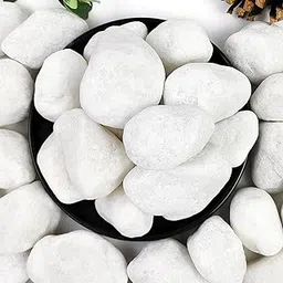 Indian Gardening 10KG Natural White Unpolished Big Pebbles – Decorative Garden Stones | Planter Top Dressing | Smooth Finish-image-19