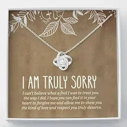 FABUNORA 925 Sterling Silver Chain Pendant & Loveknot Necklace Sorry Gift For Wife, Necklace Gift For Women With Message Card-picture-13