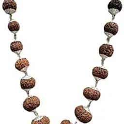 Rare Gems Gallery 1 To 21 Mukhi Nepali Rudraksha Premium Indrani Mala Original Certified Ek Se Ikkees Mukhi Rudraksha Mala Gowri Shankar Ganesh Rudraksh Ruthratcham Malai For Women शाही इन्द्राणी माला-picture-26