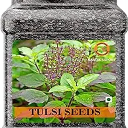 Kartik Export Edible Van Tulsi Seeds, Vana Tulsi Beej, Mahabeera Seeds (250gm) image 1