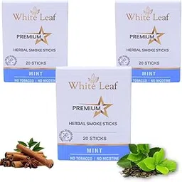 White Leaf Tobacco & Nicotine-Free Premium Herbal Cigarette Mint Flavour, Pack of 3(60 Sticks)-picture-10