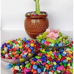 1st Time Décor Pebbles/Stone for Home Decoration, Pots, Garden, Showcase, Plant Vase, Multicolor, WT. 450 gm- S4-picture-27
