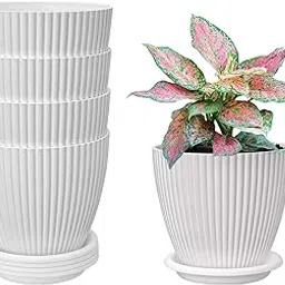 INKULTURE Plastic Round Flower Pots with Tray for Home Planters, Terrace, Garden Etc | Pack of 05 | White | Size 6.5 Inch | for Home Indoor & Outdoor Gardening Plants-image-47