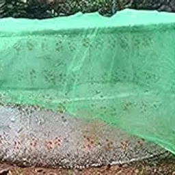 Myfam Kinar Vala - Small Mesh Well Covering Net - UV Resistant (Green/Blue)- 3x3 Meter-picture-17