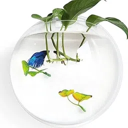 LTS Glons White Wall Mount/Wall Hanging Fish Bowl Size '9' inches (NO Plastic) 100% Durable Long Lasting Acrylic (not Glass,) Rust and Weather Resistant with 'Free Colour Pebblestone'-picture-47