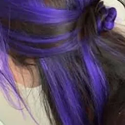 Ekan Hair Streak Colored Extension Highlighter for Women and Girls Set of 4 (Dark Purple)-picture-43