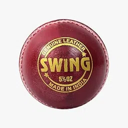 DSC Swing Leather Cricket Ball Red Pack of 1 Water Proof Premium Professional Grade Training Sports Equipment Sporting Goods-picture-39