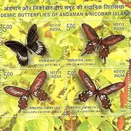 India Stamps 2008 M/S ~ Endemic Butterflies of Andaman & Nicobar Islands Miniature Sheet MNH-picture-11