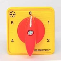 Salzer(L&T) 61082 6A 2Pole 5Way S6 6A Cam Operated Rotary Switch-picture-15