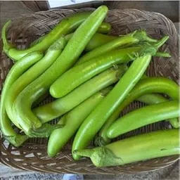 Green World F1 HYBRID BRINJAL GREEN LONG/LAMBE BENGAN SEEDS FOR KITCHEN GARDENING (20 seeds)-image-0