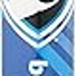 SG Cricket Bat HP Blitz-picture-19