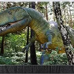 Video Magnifier, Wood Grain Amplifier, Phone Enlarger, Magnifying Glass for Video for Smartphones (Black)-picture-47