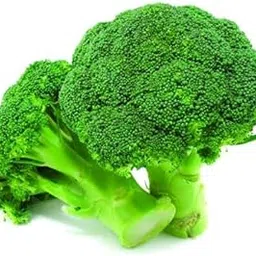 Euphoric Greens Premium Broccoli Seeds, 100 Seeds, Non-GMO,High Germination Rate,Perfect for Growing Fresh Broccoli for Vegetables,Salads,Soups,Smoothies in Home Gardens, Balconies, backyards-image-3