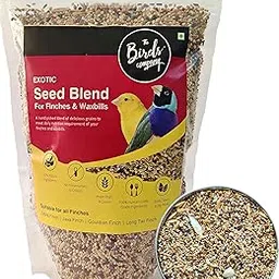 The Birds Company Exotic Seed Blend of 8 Grains, Fortified with Spirulina, Bird Food for Finches & Waxbills, 450 g-picture-53