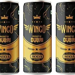 Wingo Premium Soda Water – Product of Dubai | Sparkling Carbonated Water | Refreshing Beverage in Stylish Can | 250ml (Pack Of 3) image 1