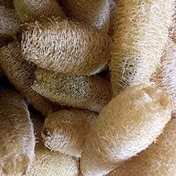 Vaibhav Natural Loofah for Body Bath Scrubber - Pack of 10 Pieces (4 cm to 10 cm) - Eco-Friendly Exfoliating Sponges for Smooth Skin-picture-10