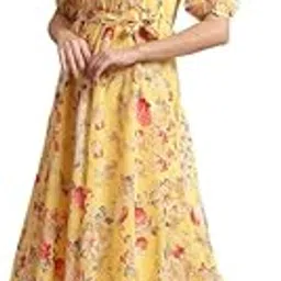 preneum Women's Georgette Fit and Flare Ankle Length Dress-picture-14