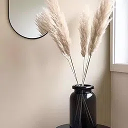 Natural Dried Pampas Grass Stems, Off-White, Pack of 4, Home Decor-picture-41