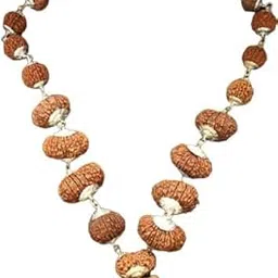 dine gems Precious Indrakshi Mala Rudraksha Nepal 1 to 21 इन्द्राक्षी माला Lab Certificate Shahi Indrani Mala In Silver Capping-picture-35