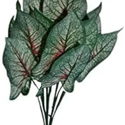 MoneyP1062 Artificial Money Plant with Pot Set of 2 PCS-image-68