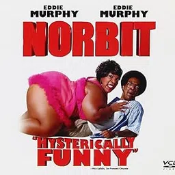 DKD Norbit VCD in English-picture-23