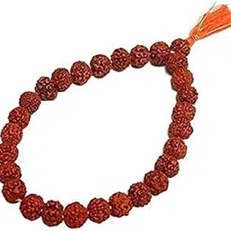 OPTIMUS RUDRAKSHA 5 Mukhi Rudraksha Bracelet Original Certified for Men Women रुद्राक्ष का ब्रेसलेट Five Face Nepali Panchmukhi Rudrachh Brown Pure Ruthratcham Beads with Blessings of Mahadev-image-1