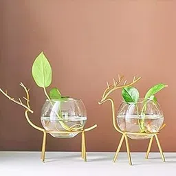 Delight World Glass Vase | Modern Round Jar | Gold Floral Glass Pot | Set of 2 | 18x15x18 cm | 500g Each | Living Room, Home Office, Bedroom Decor-picture-35