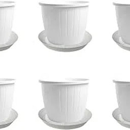 Go HookedPlastic Duro Flower Pot for Gardening, Indoor/Outdoor Planter-White (8 Inch)(Pack of 6 with Tray)-picture-26
