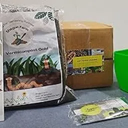 DIY Gardening Kit for Kids with Hybrid Green Capsicum Seeds Pack-picture-10