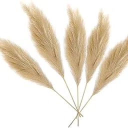 BNF®Faux Artificial Pampas Grass 70cm Decor Bouquet for Home Decor Light Brown|Home & Garden | Home Decor| Floral Decor-picture-40