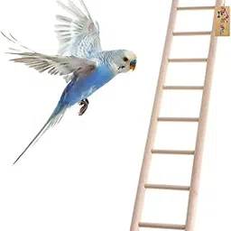 Western Era Fun Natural Wooden Ladder Toy for Training, with Hooks to Hang on, Designed for Birds, Parrot, Budgies and Other Small, Medium Large Bird,8 Level / 38cm-picture-24