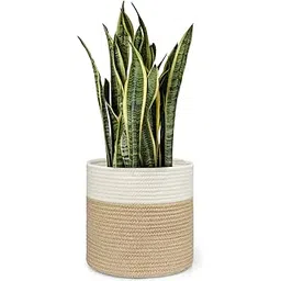 Dahey Jute Spliced Cotton Rope Plant Basket Modern Woven Storage Basket for 10" Floor Indoor Planter, 11" x 11" Decorative Flower Pot Cover Laundry Bin with Handles Rustic Home Decor, White and Beige-picture-13