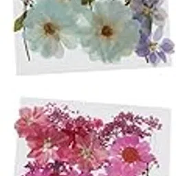 SHOPORA 78Pc Natural Real Pressed Dried Flowers DIY Scrapbooking Crafts | Home Arts & Crafts | Floral Crafts | Dried Botanicals & Potpourri | Dried Flowers-image-96