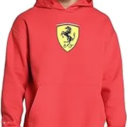 puma Men Cotton Blend Hooded-Neck Sweatshirt-picture-55