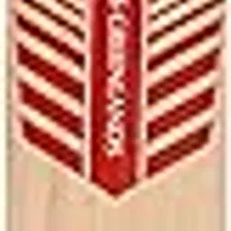 SG Cricket Bat Maxstar Classic, Short Handle, Popular Willow-picture-24