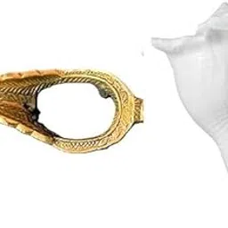 SriMaa Ventures Dakshinavarti Shankh Original Pure White with Designer Brass Stand | Natural Lakshmi Valampuri Sangu for Pooja, Diwali-picture-35