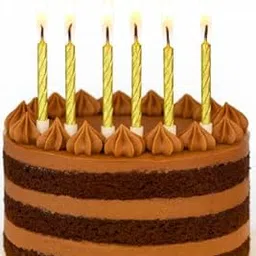 Homebakers Mart Golden Spiral Birthday Candles (10 Pieces) Pack of 2-picture-31