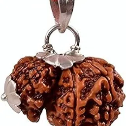 haridwar gems & rudraksha Natural Garbh Gauri Rudraksha Silver Studded-picture-14