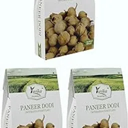 YUVIKA Paneer Dodi - Paneer Ke Phool - Withania Coagulan 250 Grams Pack of 3 Boxes-picture-31