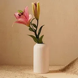 ThinKraft Ribbed Pipe Ceramic Vase, Flower Vase, Pampas Grass Vase, Home Decor Centrepiece Decor for Home, Office, or Gifts/Only Vase- (White, 10 Inch/25 cm)-picture-24