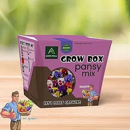 AGRO MILL ORGANIC PANSY MIX FLOWER GROW BOX/KIT | INCLUDES LARGE POT,POTTING MIX,SEEDS,SCRAPER TOOL,ROOT-O-SHOOT,PLANT NUTRIFIER,BUG DETERRENCE POWDER,PERFECT FOR HOME KITCHEN GARDEN & GIFTS-picture-21