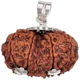 gemstone gallery Auspecious Gori Shankar Rudraksha Original Certified Gaurishankar Rudraksha Pendant Shiv Parvati Rudraksha Gauri Shankar Rudraksh Nepali Beads For Chanting नेपाली गौरी शंकर रुद्राक्ष-picture-29