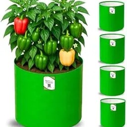 Moglecart, 6x6 Grow Bag for Vegetable Gardening, Premium HDPE 260 GSM, Green Plant Bags for Terrace Garden, (Pack of 5)-image-75
