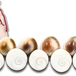 SATAT Gomati Chakra Original | Pack of 11 | Natural | Hand-Picked Pieces | for Lakshmi Puja at Diwali & Dhanteras | for Wealth & Vastu Dosha Elimination-picture-37